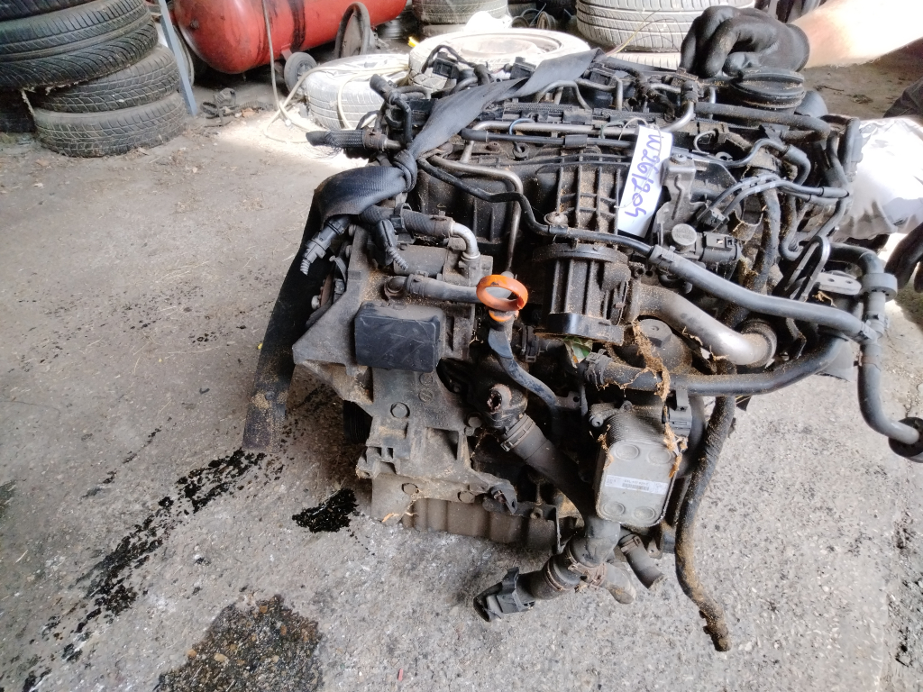 VW Golf VI 2008.10.01-2012.09.30 Motor, diesel fűzött blokk hengerfejjel bontott alkatrész